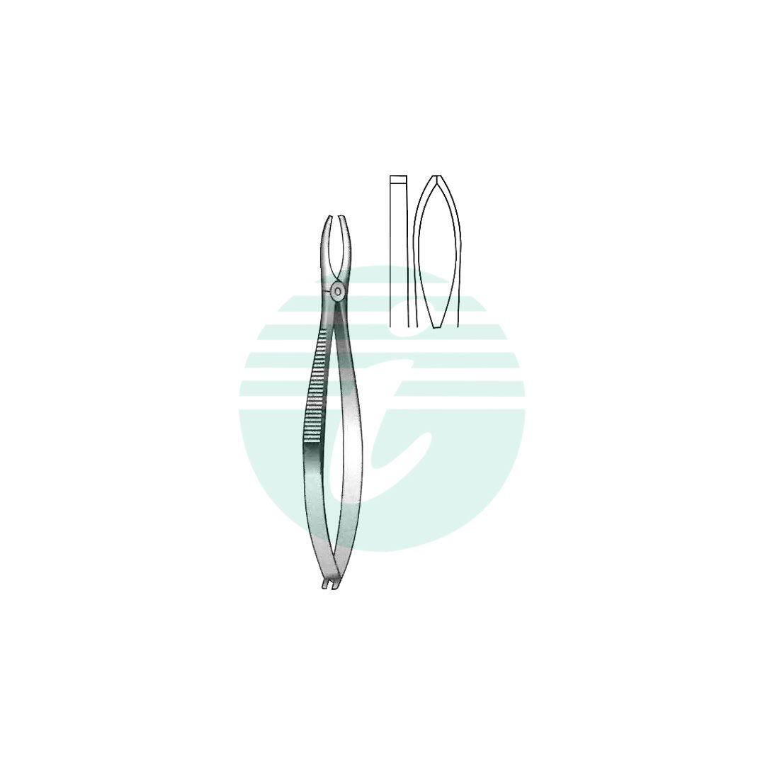 GRADLE CILLA FORCEPS