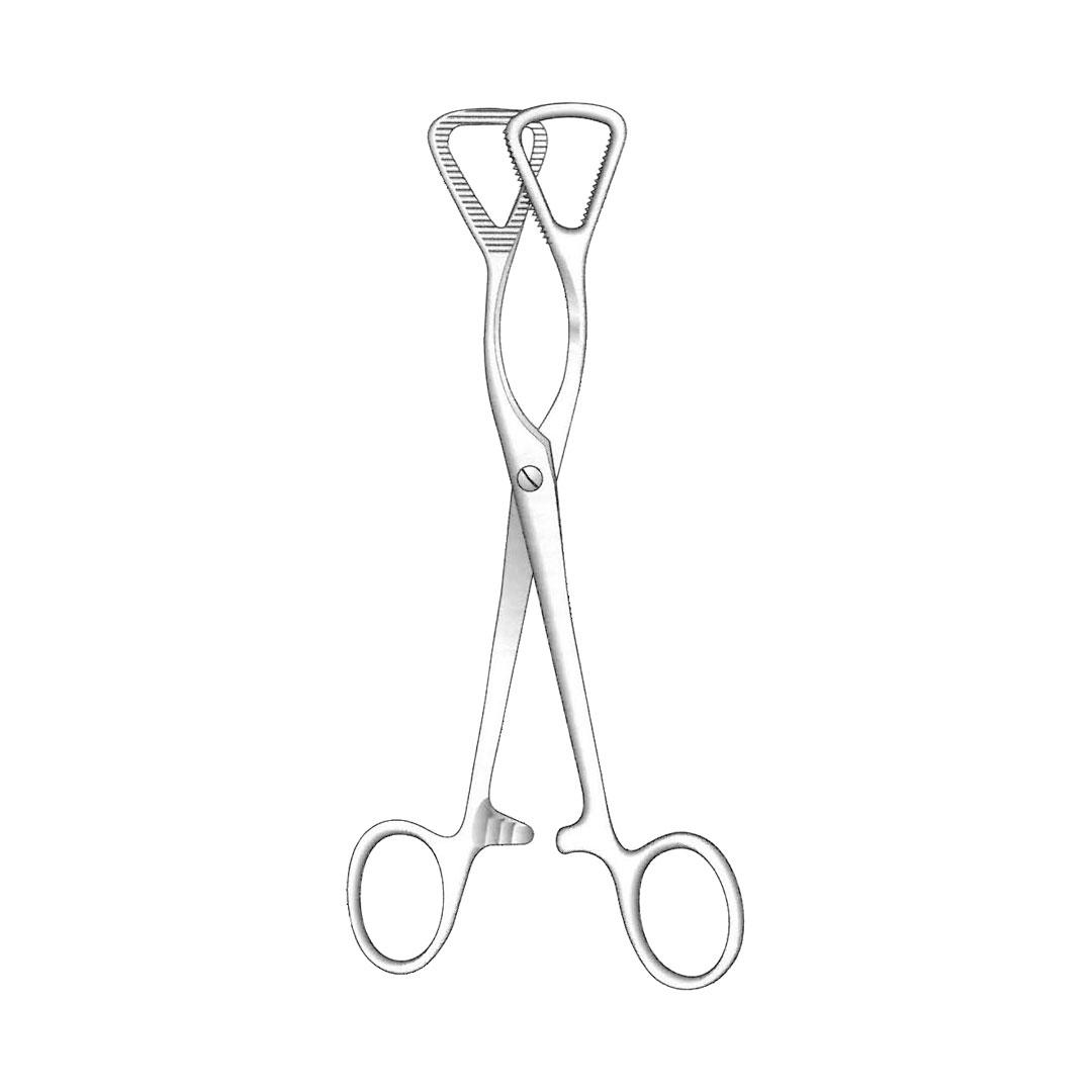 GUY ORAL INSTRUMENTS