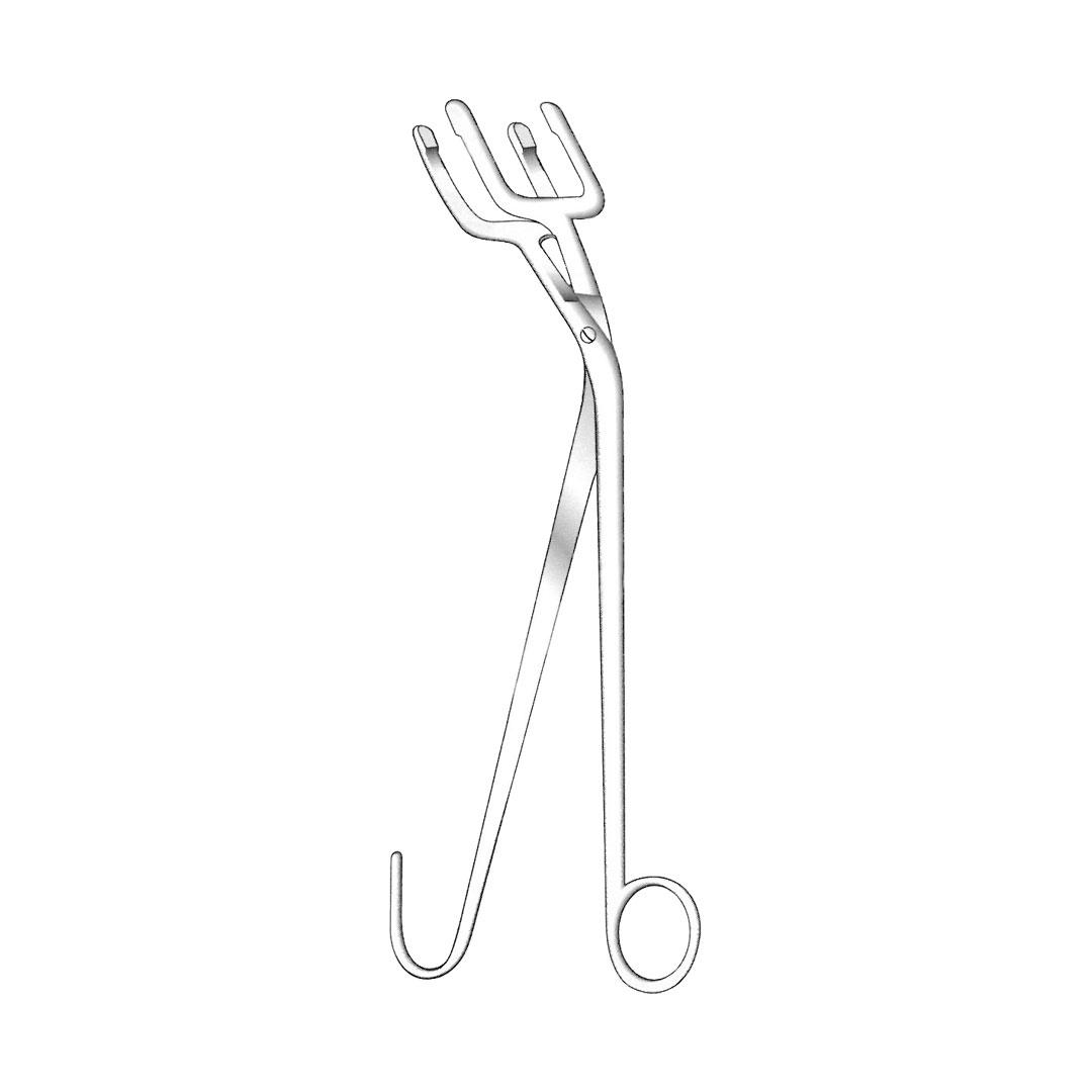 HARRISON STERILIZING FORCEPS
