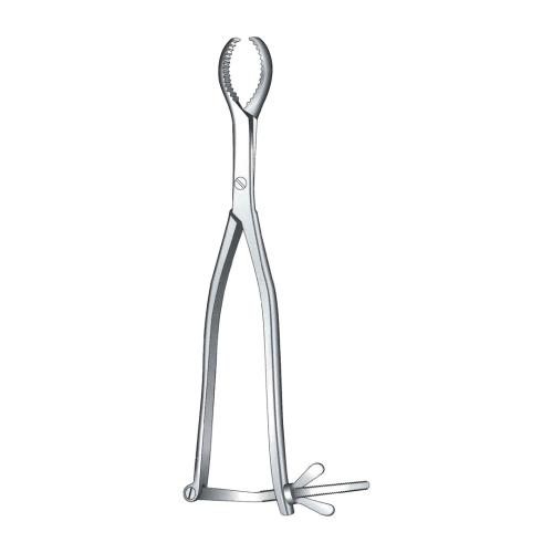 HEY GROVES BONE HOLDING FORCEPS