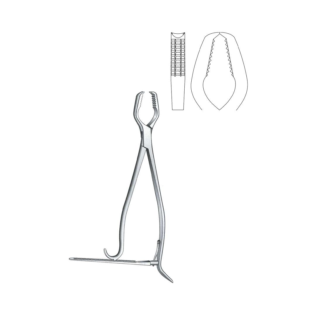 LANE BONE HOLDING FORCEPS
