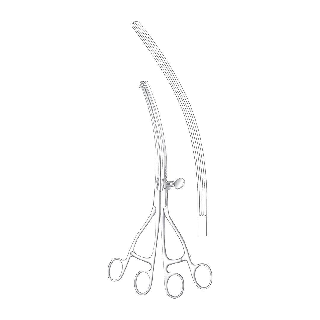 LANE STOMACH CLAMP FORCEPS