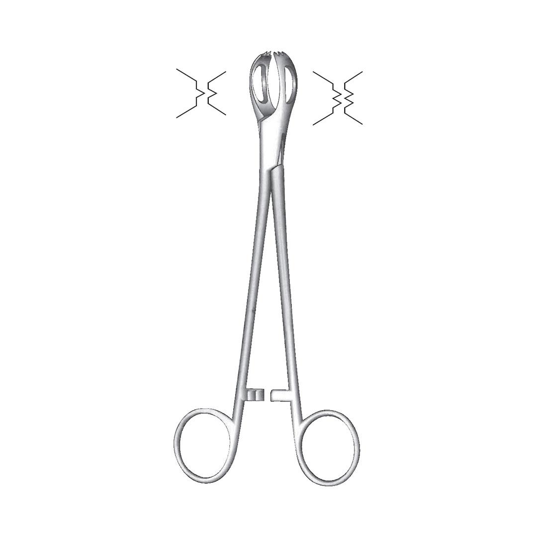 LANE TISSUE & ORGAN GRASPING FORCEPS 1:2 Teeth