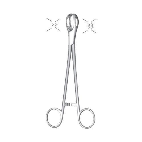 LANE TISSUE & ORGAN GRASPING FORCEPS 2:3 Teeth