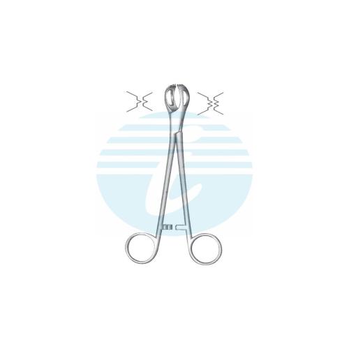 LANE TISSUE & ORGAN GRASPING FORCEPS 2:3 Teeth