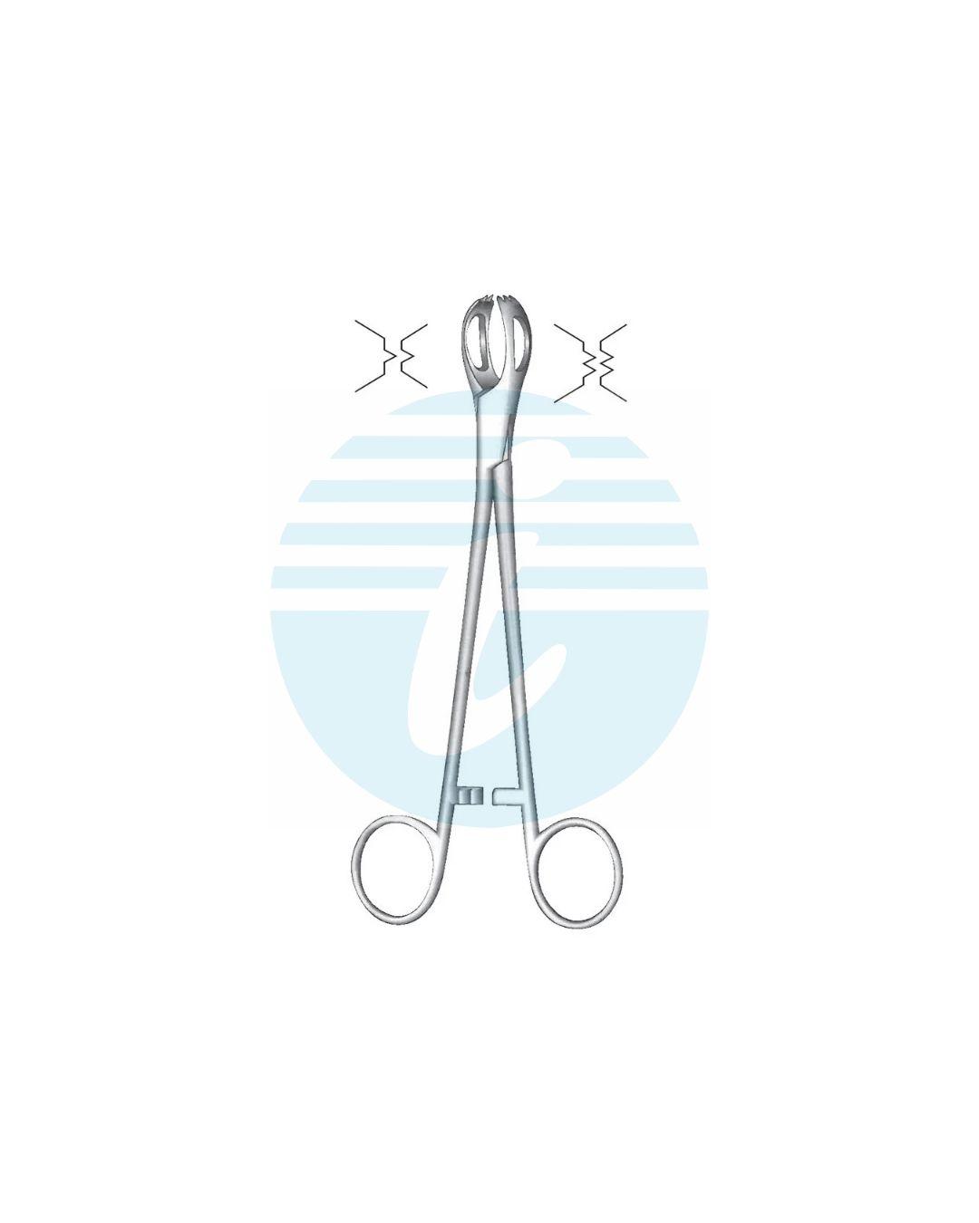 LANE TISSUE & ORGAN GRASPING FORCEPS 2:3 Teeth