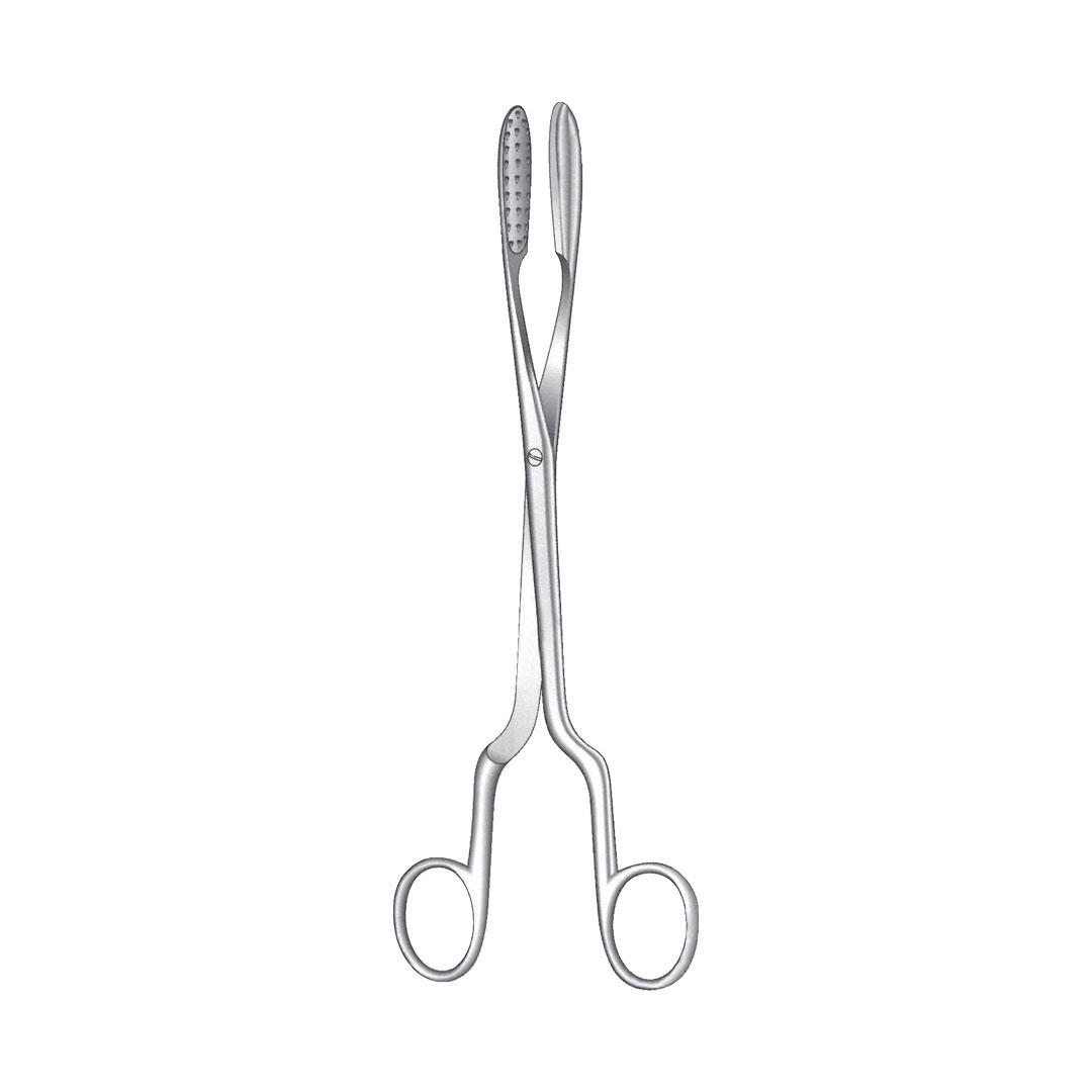 LEWKOWITZ LITHOTOMY FORCEPS AND PENIS CLAMP