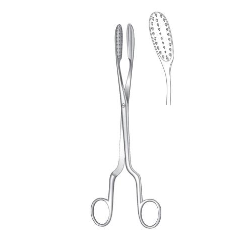 LITHOTOMY FORCEPS AND PENIS CLAMP angled