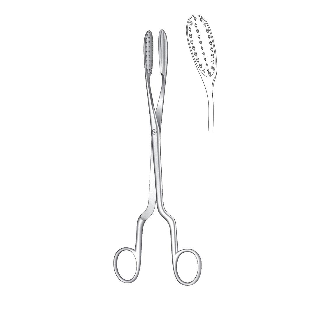 LITHOTOMY FORCEPS AND PENIS CLAMP angled