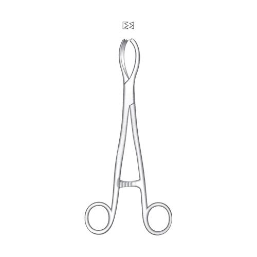 LITTLEWOOD TISSUE AND ORGAN HOLDING FORCEPS