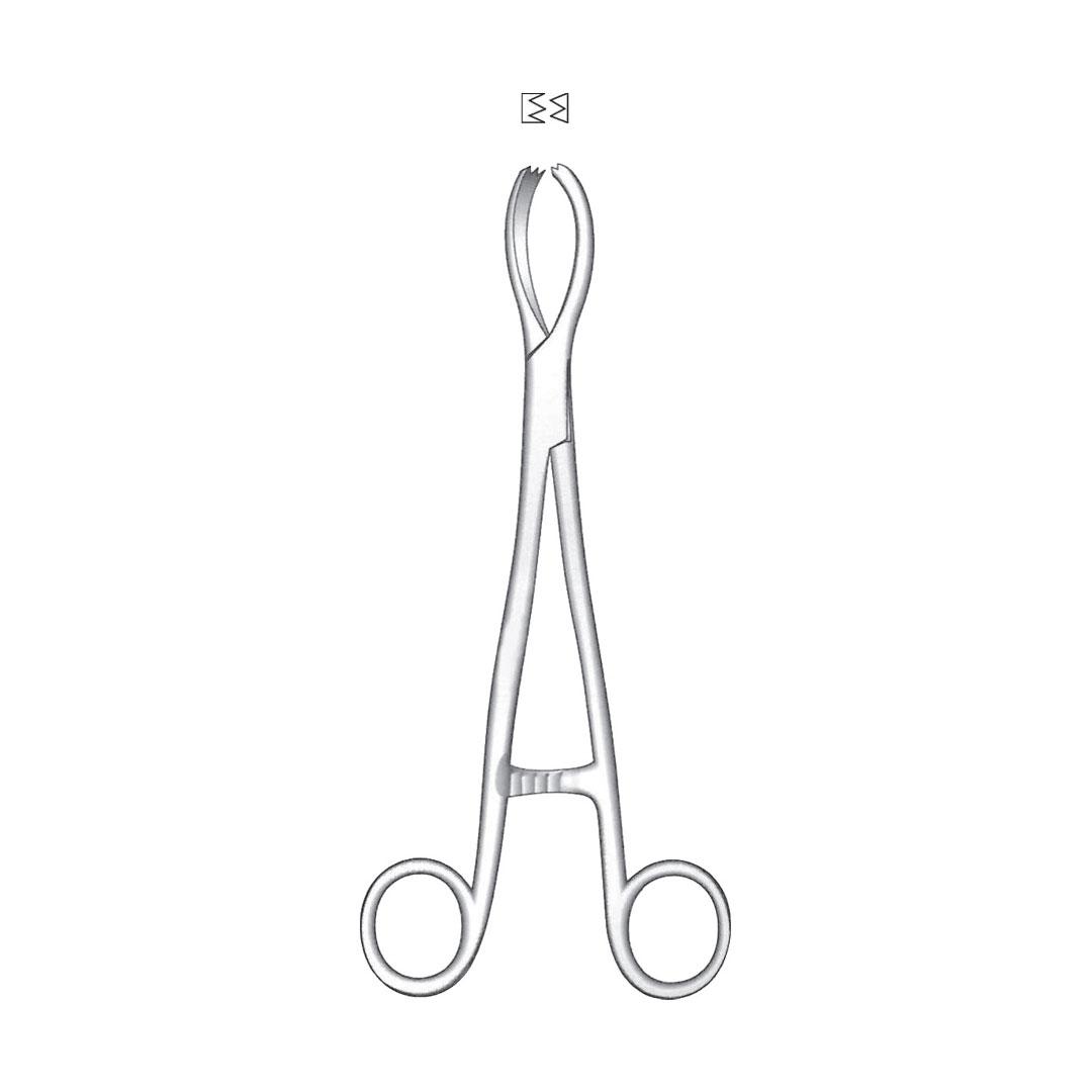 LITTLEWOOD TISSUE AND ORGAN HOLDING FORCEPS