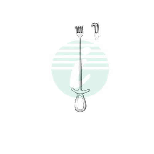 MURPHY Retractors 2 prongs Blunt