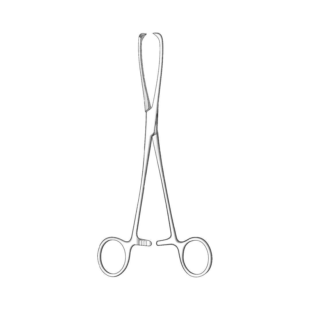 MUSEUX DROITE TENACULUM FORCEPS