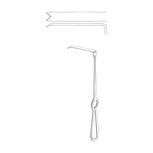 OBWEGESER CRANO MAXILLO-FACIAL SURGERY