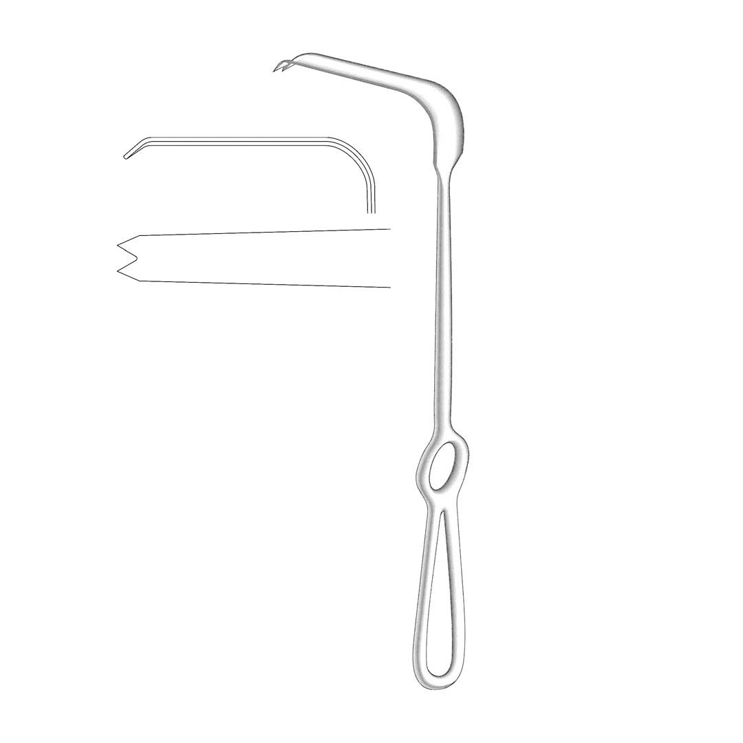 OBWEGESER CRANO MAXILLO-FACIAL SURGERY