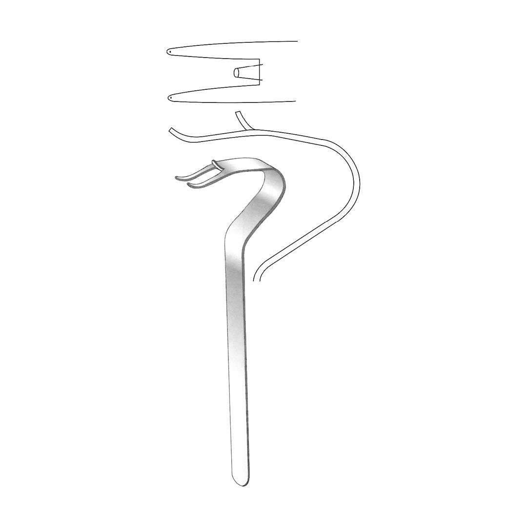 OBWEGESER ORAL INSTRUMENTS Chin holder