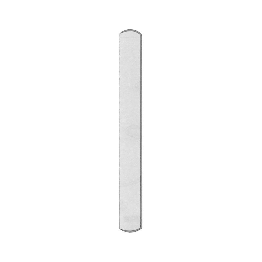 ORAL INSTRUMENTS Wood Package of 100 Pieces