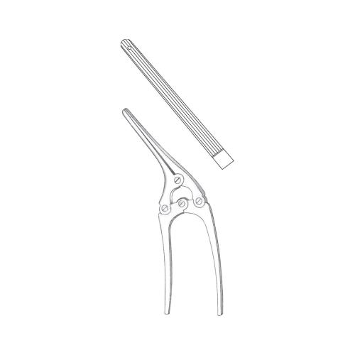 PAYR-BABY INTESTINAL AND PYLORUS CLAMPS WITH PIN
