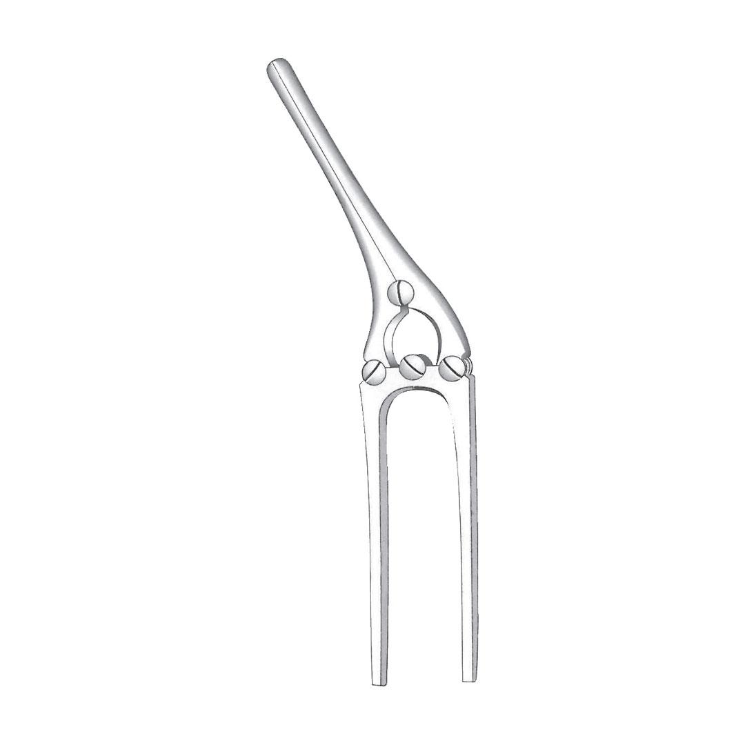 PAYR INTESTINAL AND PYLORUS CLAMPS WITHOUT PIN