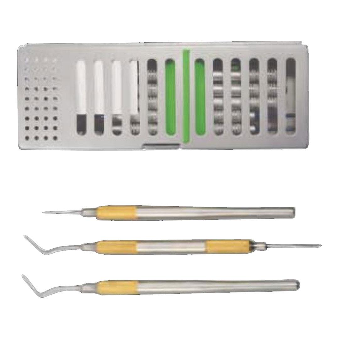 Peritome Set of 3 Gold Handles Serrated Blades with Metal Case