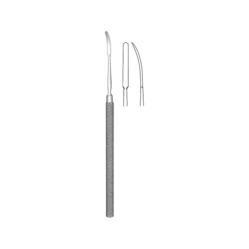 RHINOLOGY