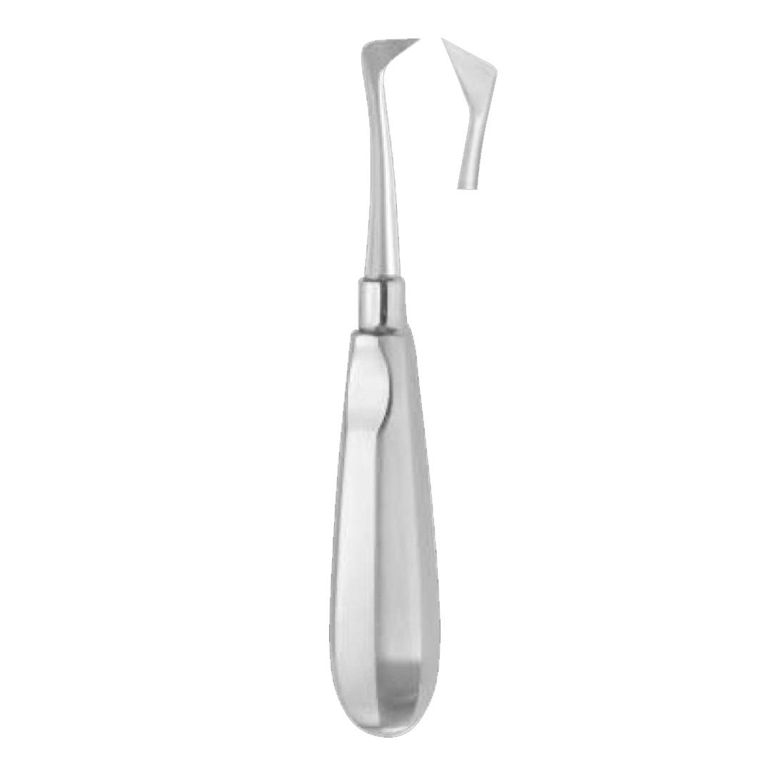 Root Elevators Seldin 15mm (Right)