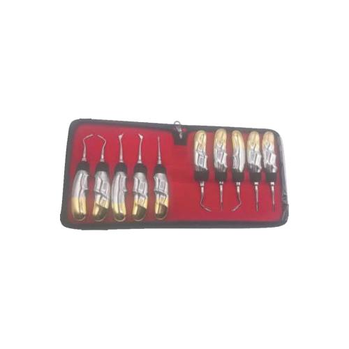 Root Elevators Set of 10 Pcs