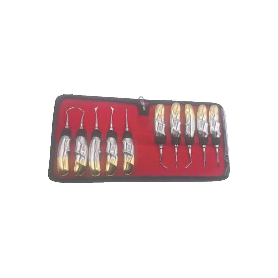 Root Elevators Set of 10 Pcs