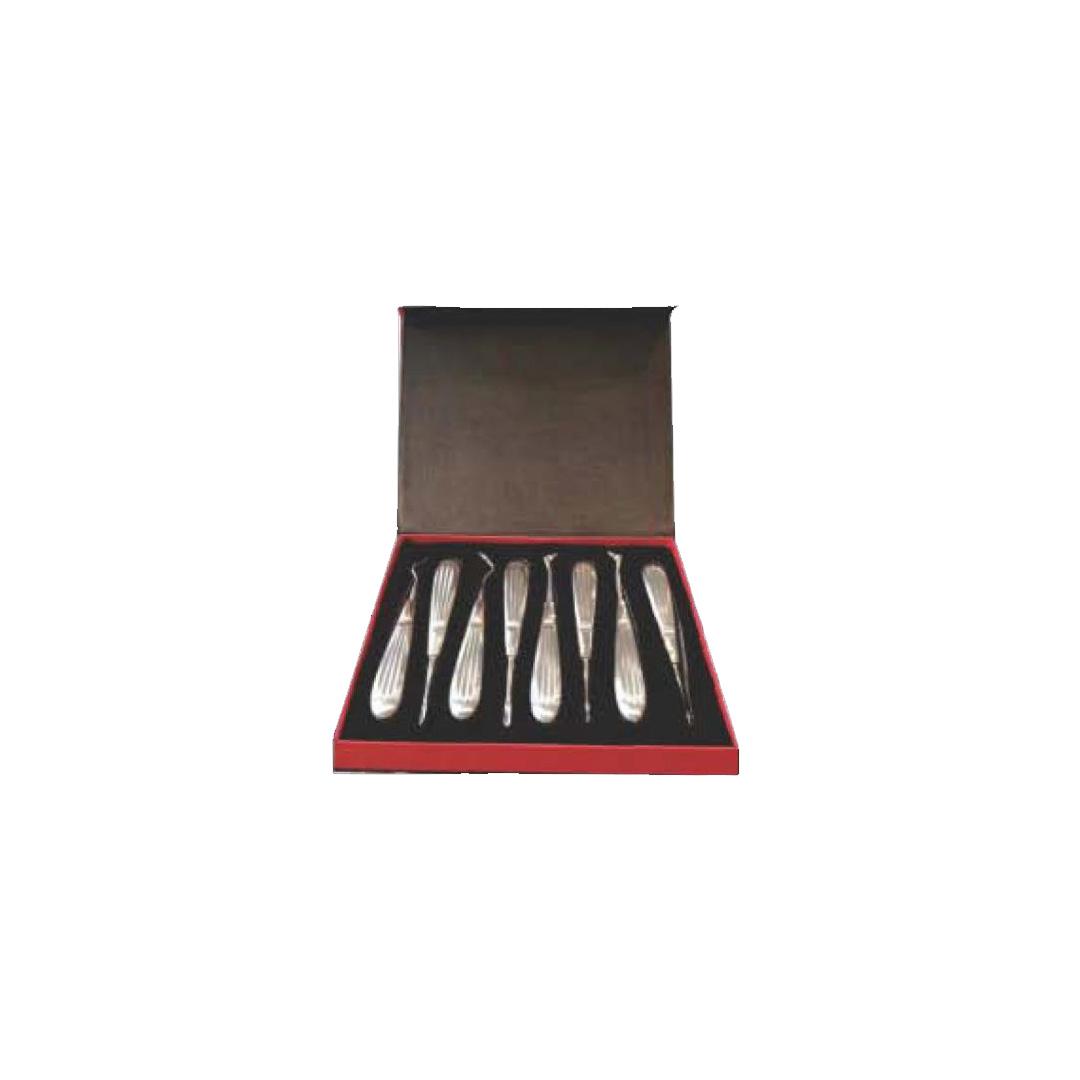 Root Elevators Set of 8 Pcs