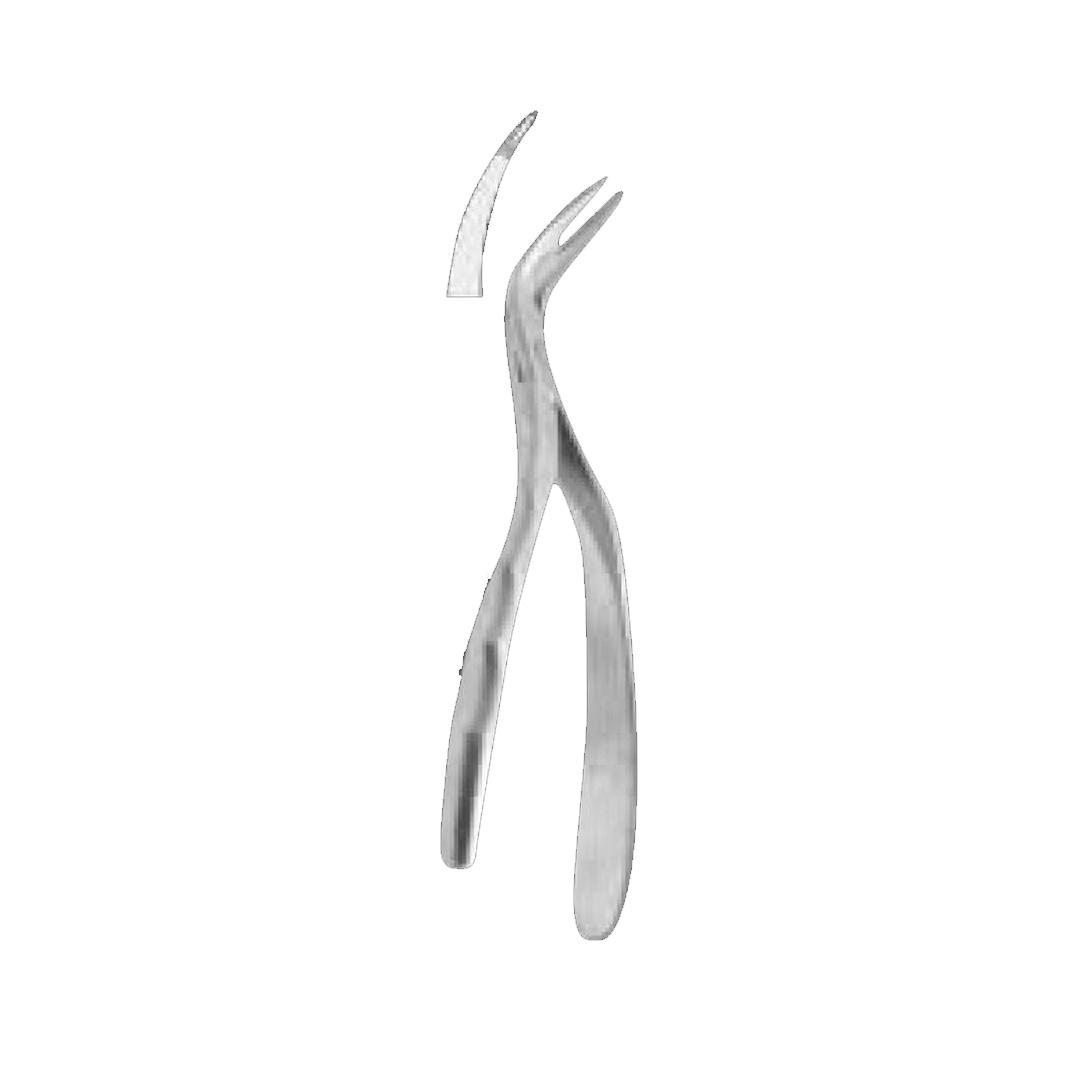 Root Fragment Forceps Lower roots Universal 160mm