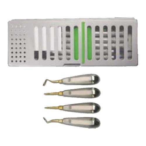 Root Fragment Removal Elevators Set of 4 with Metal Case