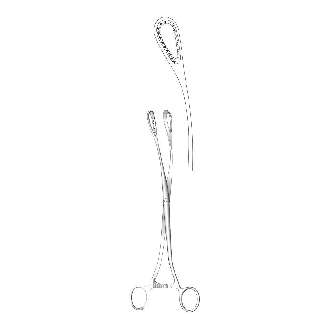 SAENGER PLACENTA AND OVUM FORCEPS