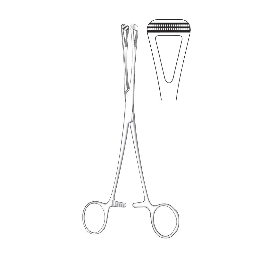 SCHEIBE TISSUE AND ORGAN HOLDING FORCEPS MEDIUM