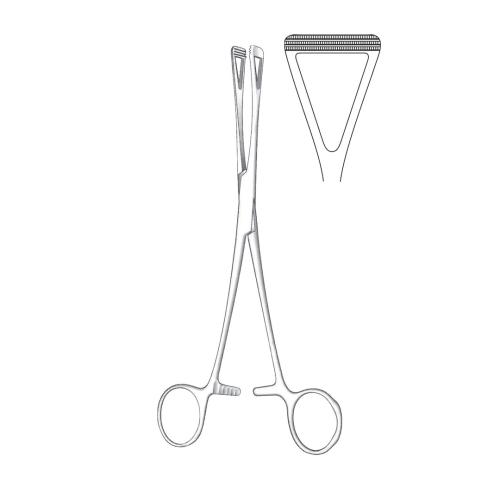 SCHEIBE TISSUE AND ORGAN HOLDING FORCEPS WIDE