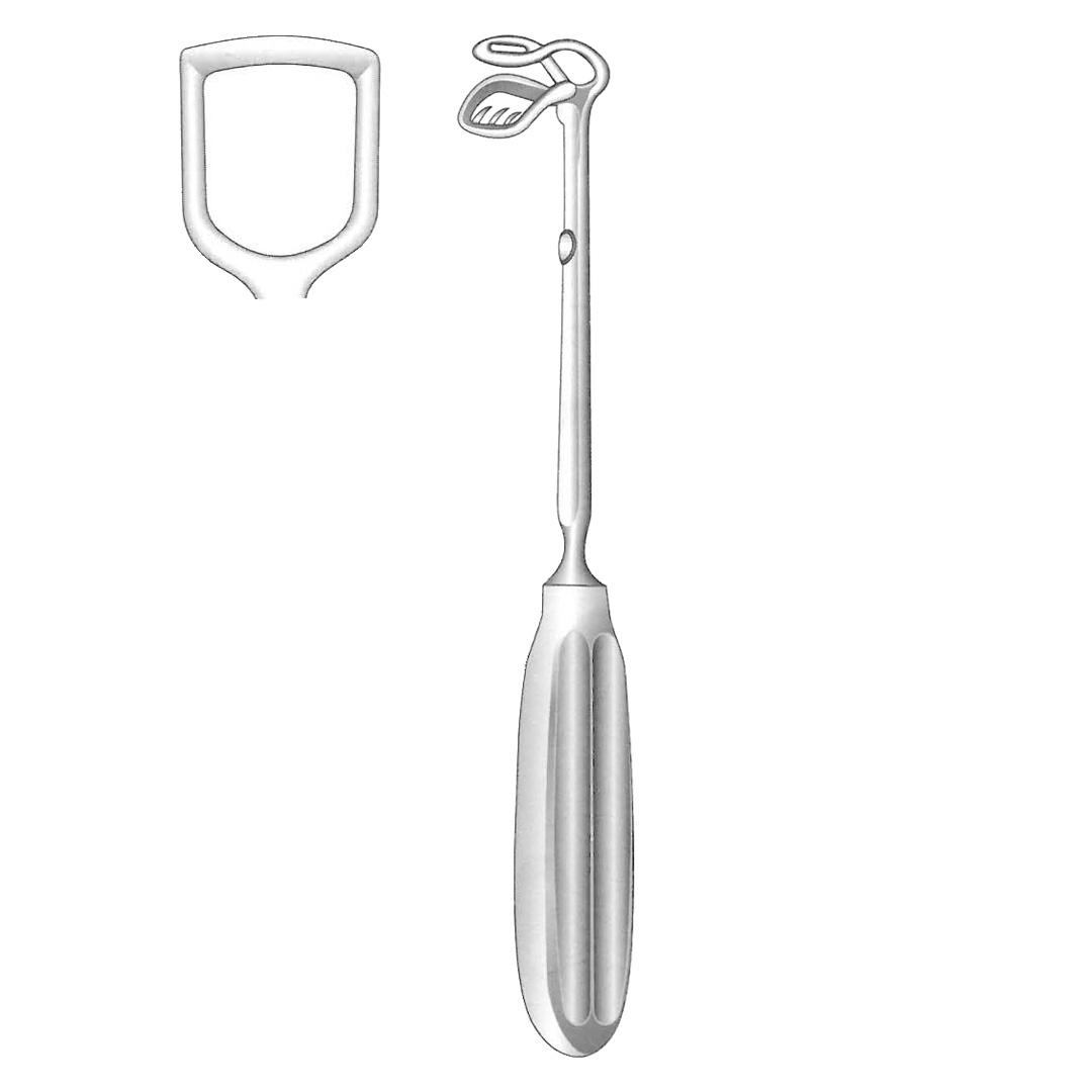 ST  CLAIR THOMSON RHINOLOGY