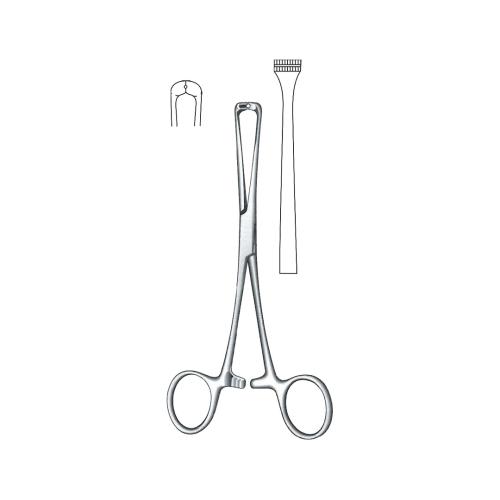 STEINMANN TENDON SEIZING INSTRUMENTS