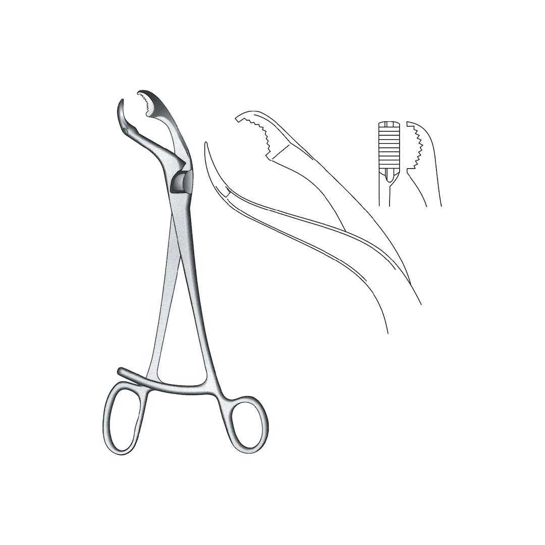 VERBRUGGE BONE HOLDING FORCEPS Screw joint