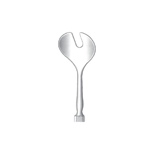 WELLS LENS SCOOP ENUCLEATION SCOOP PROTECTOR AND CHISEL