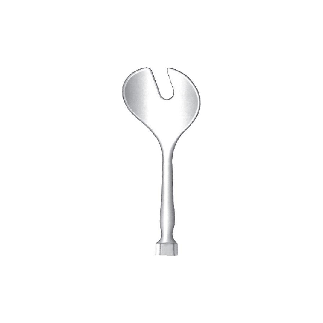 WELLS LENS SCOOP ENUCLEATION SCOOP PROTECTOR AND CHISEL