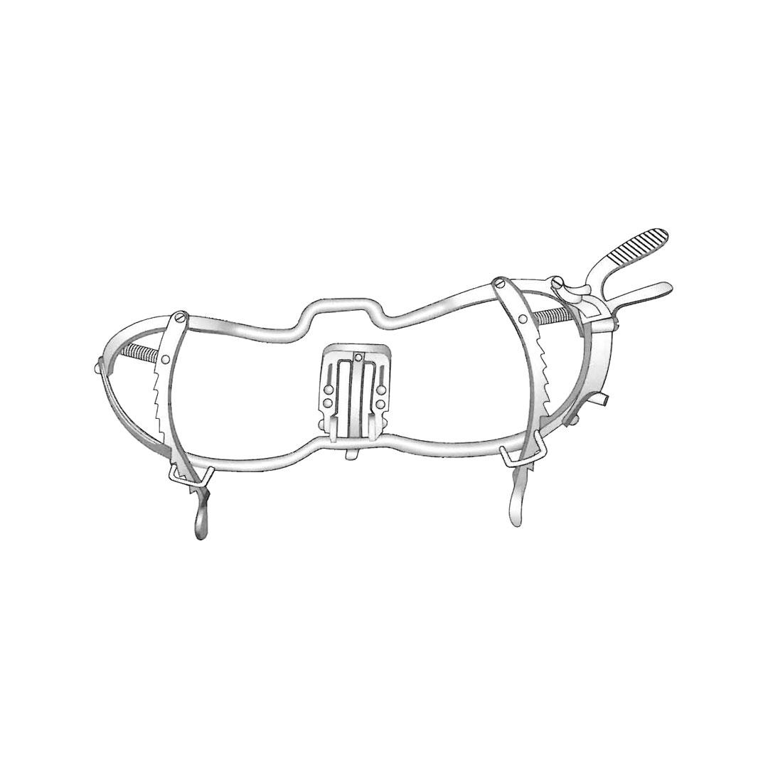 WHITEHEAD ORAL INSTRUMENTS