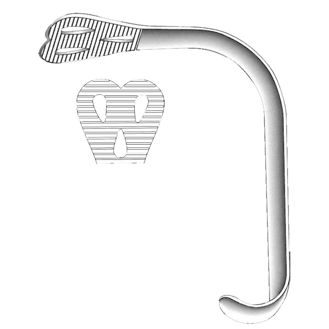 WIEDER ORAL INSTRUMENTS