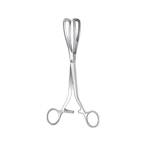 YOUNG LITHOTOMY FORCEPS AND PENIS CLAMP