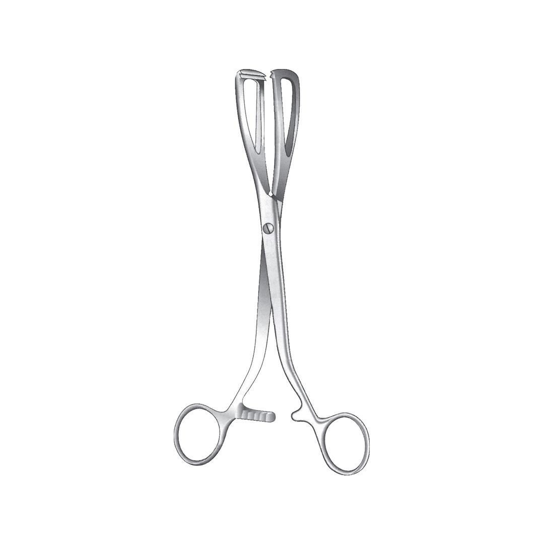 YOUNG LITHOTOMY FORCEPS AND PENIS CLAMP