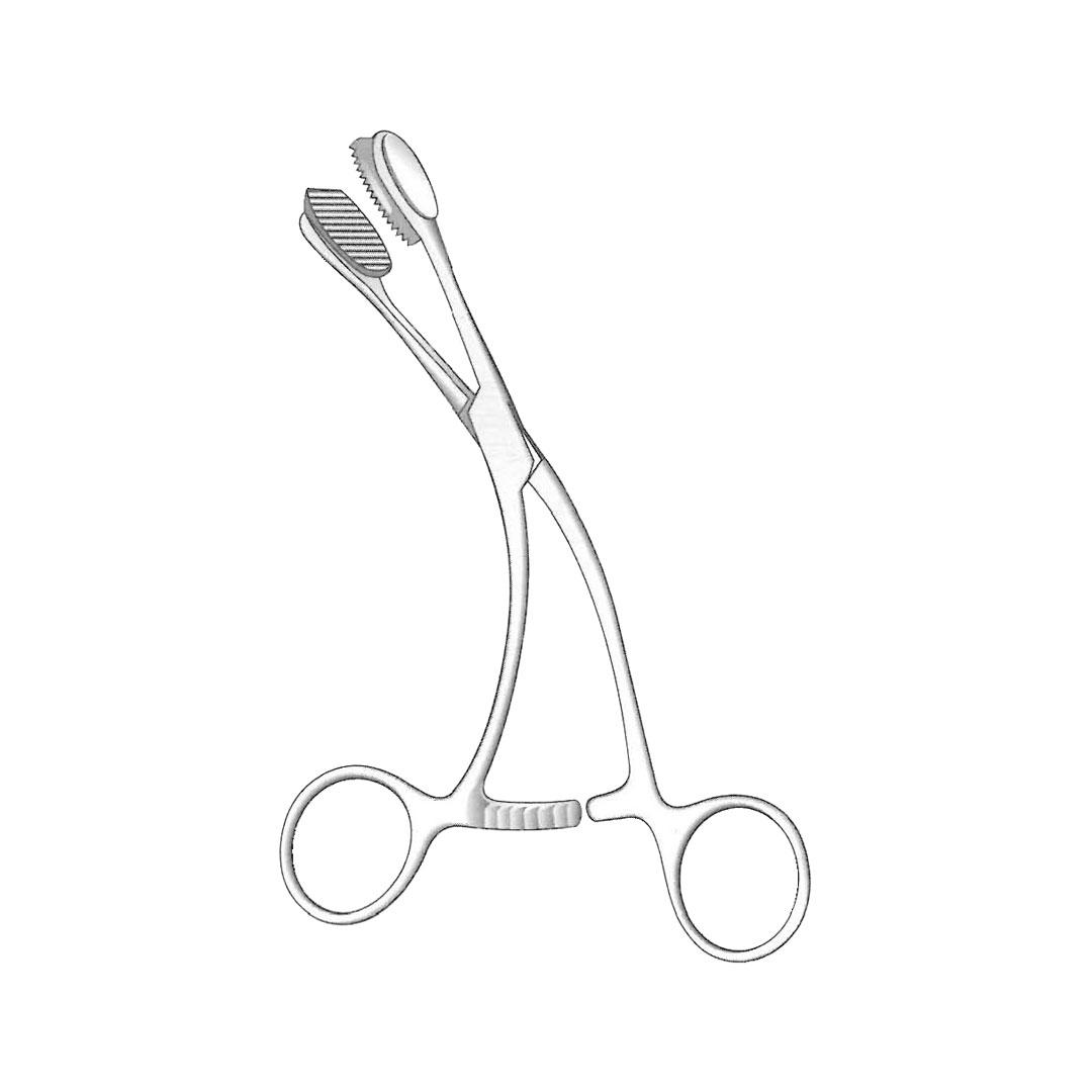 YOUNG ORAL INSTRUMENTS