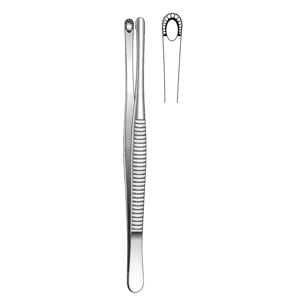 Russ Modell Tissue Forceps 15cm