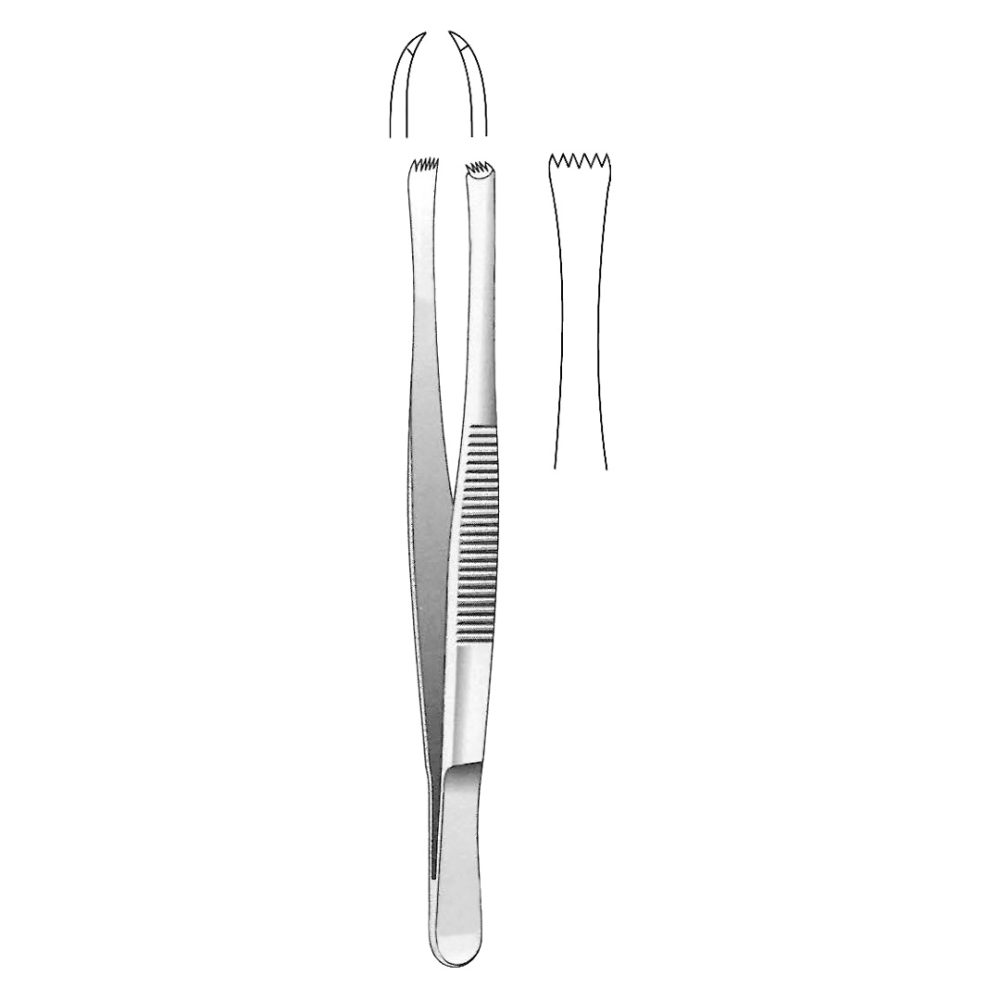 Lerche Tissue Forceps, 5×6 Teeth 15cm