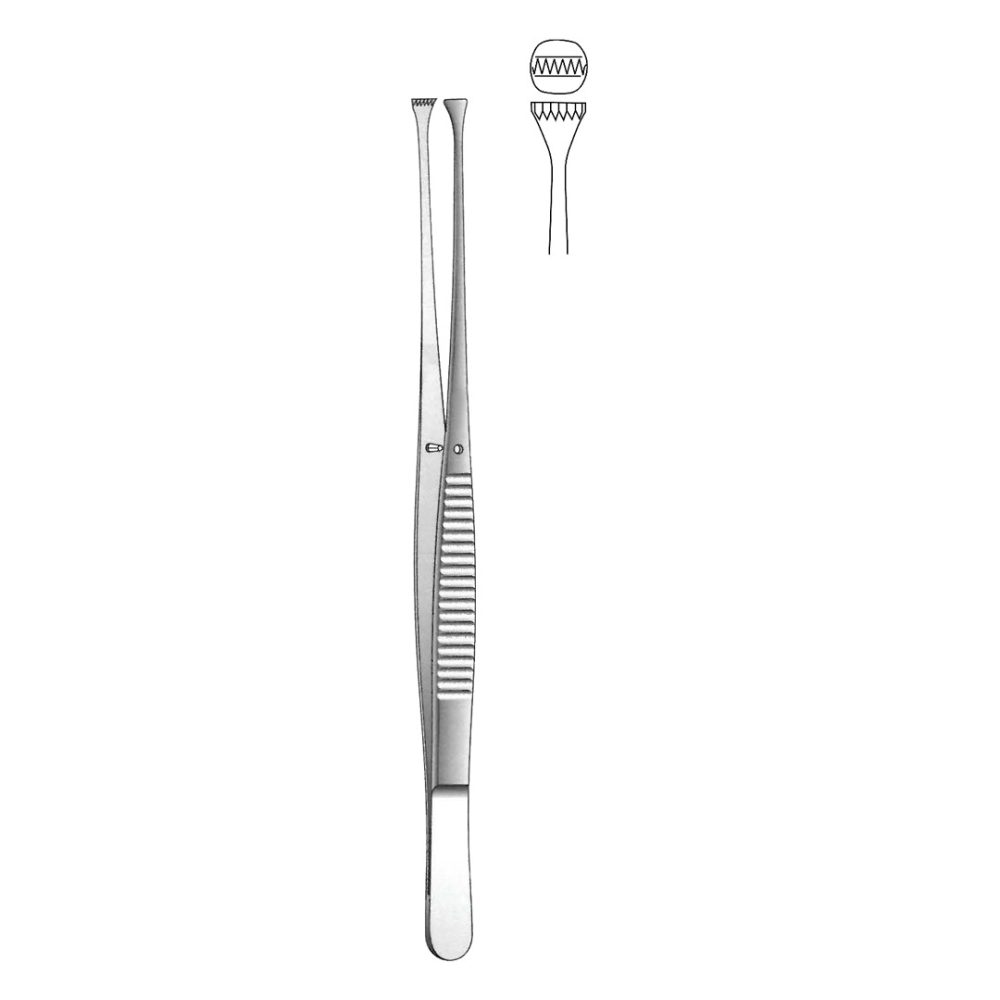 Nelson Tissue Forceps 23cm