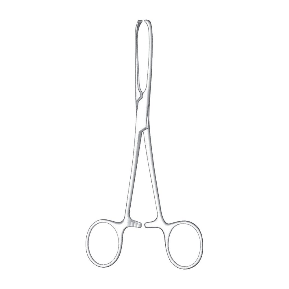 Allis Tissue Forceps, 5×6 Teeth 19cm