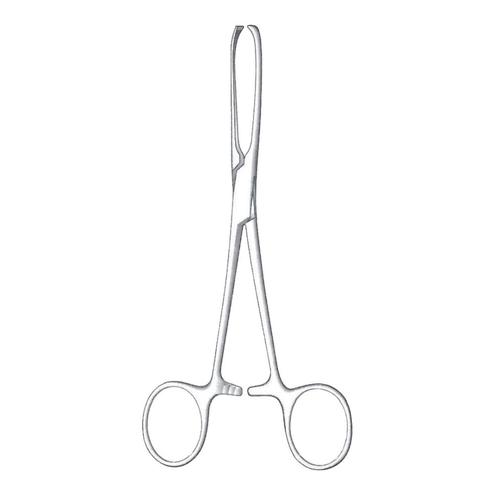 Allis Tissue Forceps, 5×6 Teeth 25cm