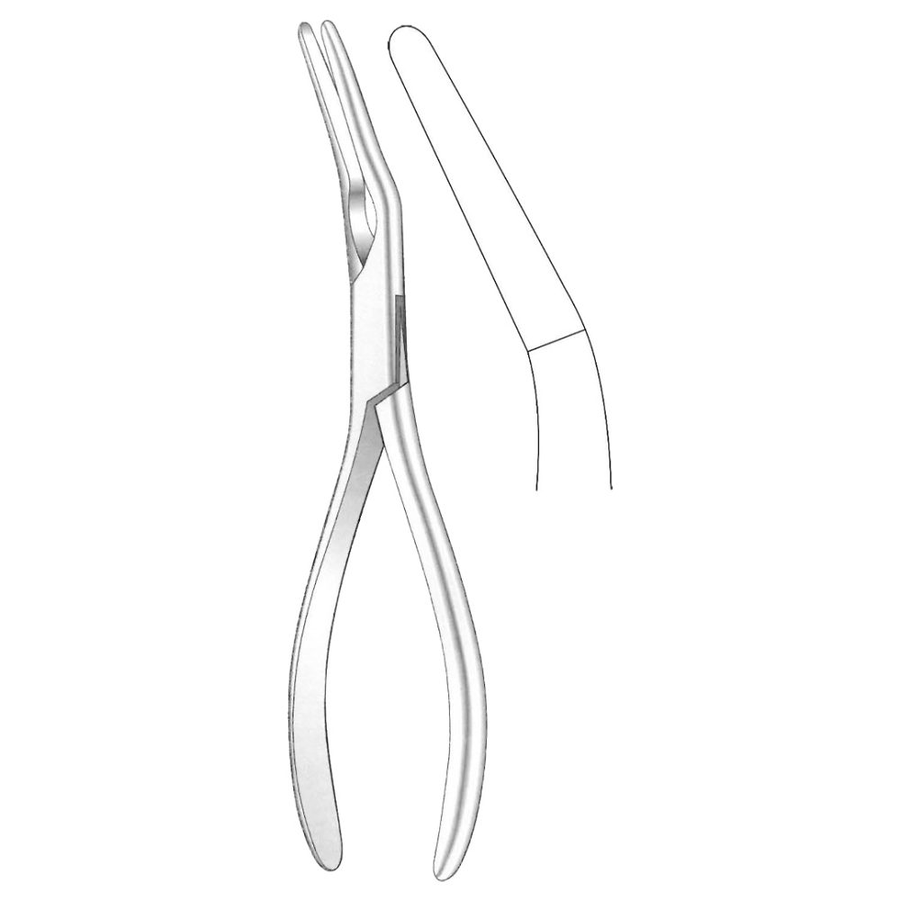 Asch Septum Forceps 22.5cm